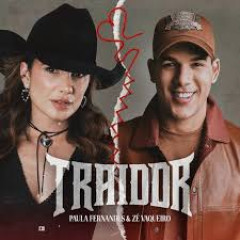 Zé Vaqueiro, Paula Fernandes